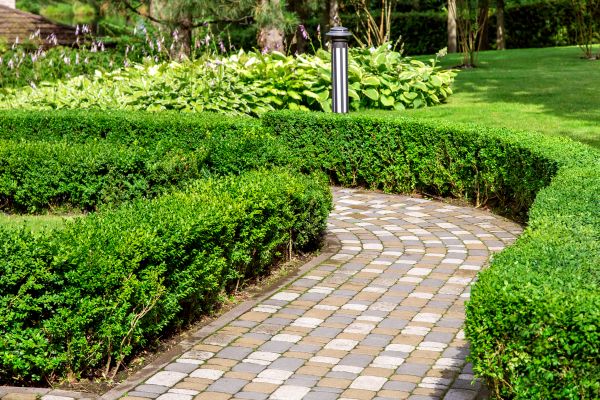 Paved Landscaping in Aurora