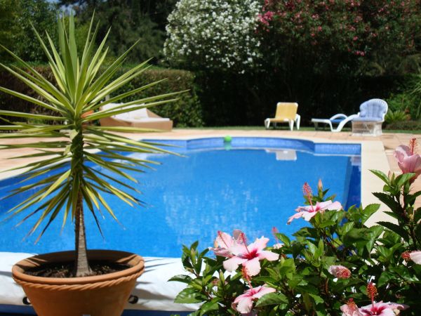 Cost of Pool Terrace Renovation in Aurora